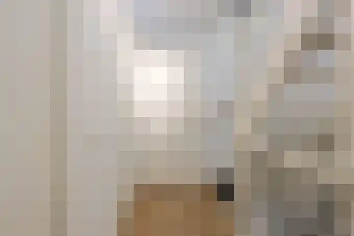 Jan van Speykstraat 5 Waalre thumbnail 32