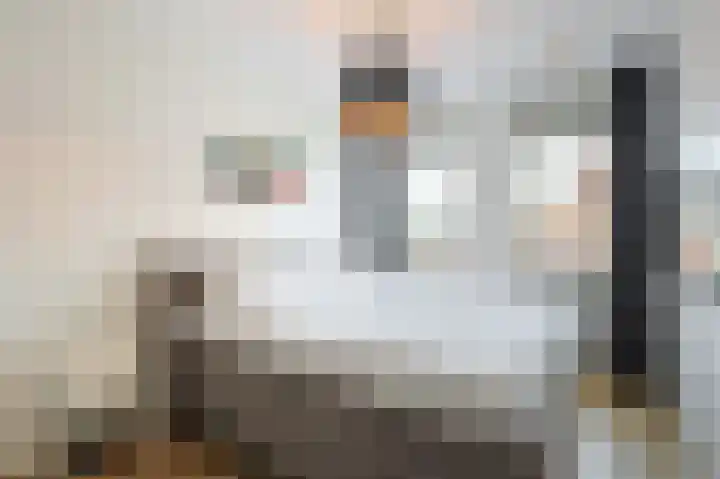 Jan van Speykstraat 5 Waalre thumbnail 33