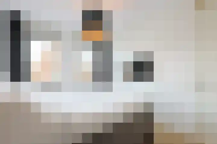 Jan van Speykstraat 5 Waalre thumbnail 34