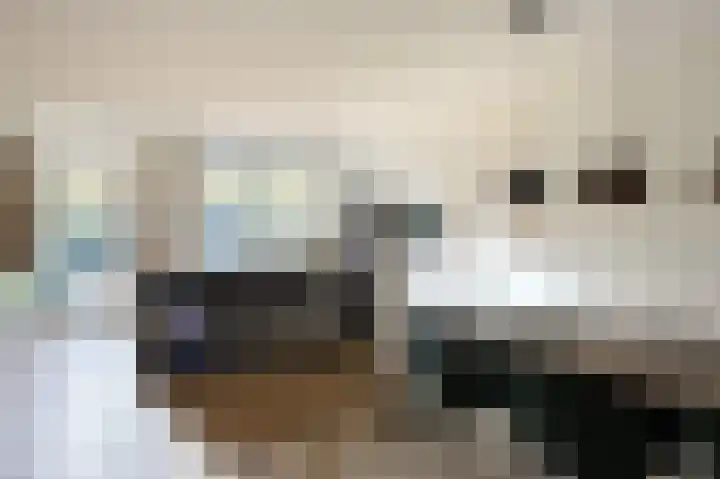Jan van Speykstraat 5 Waalre thumbnail 8