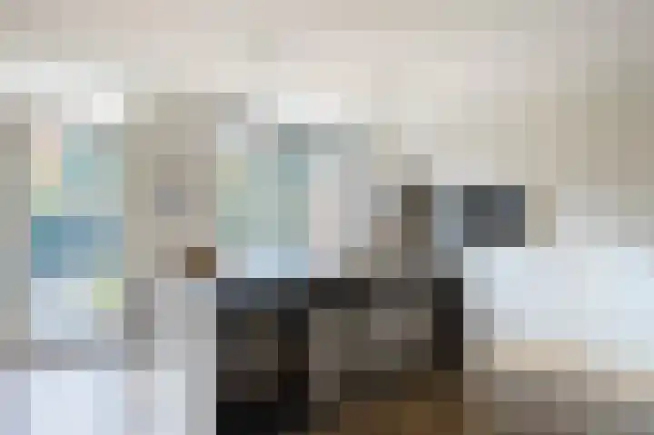 Jan van Speykstraat 5 Waalre thumbnail 9