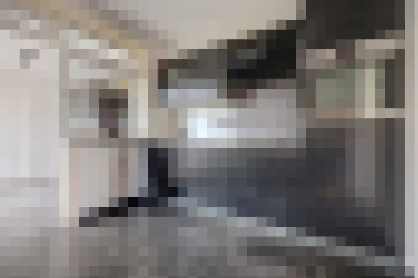 Jan van Steenbergenstr 6 Gameren thumbnail 10