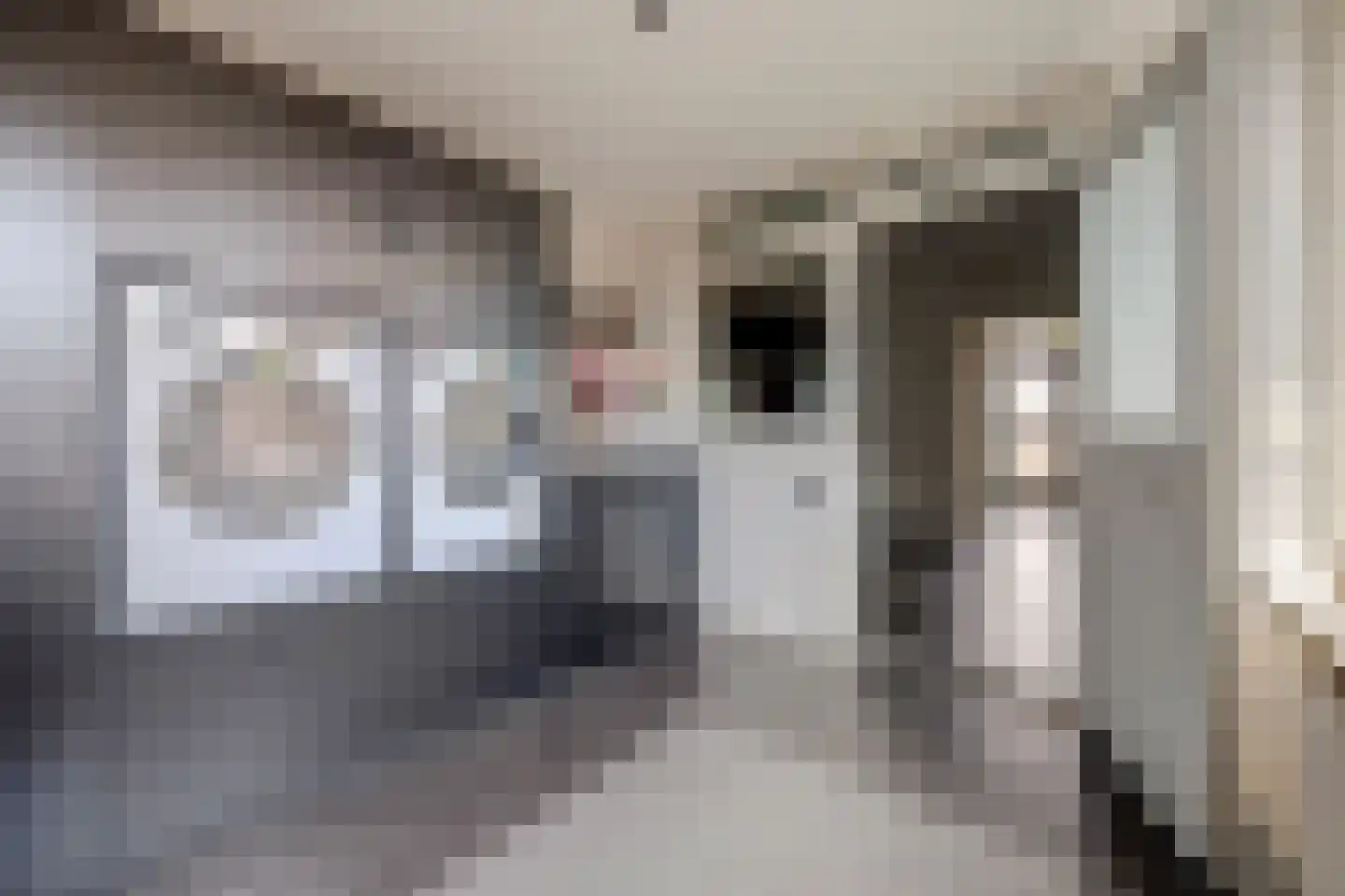Jan van Steenbergenstr 6 Gameren thumbnail 13