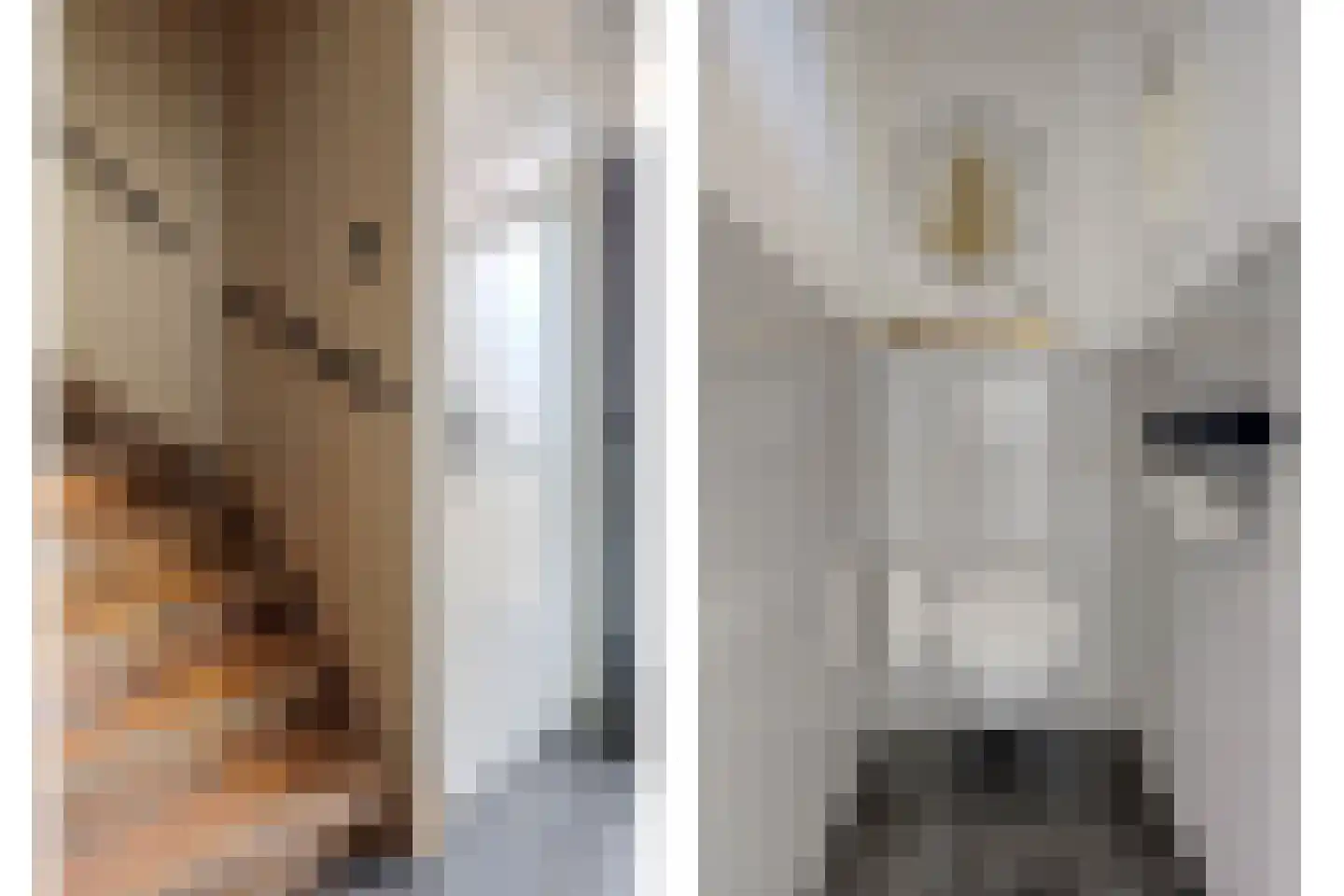 Jan van Steenbergenstr 6 Gameren thumbnail 19