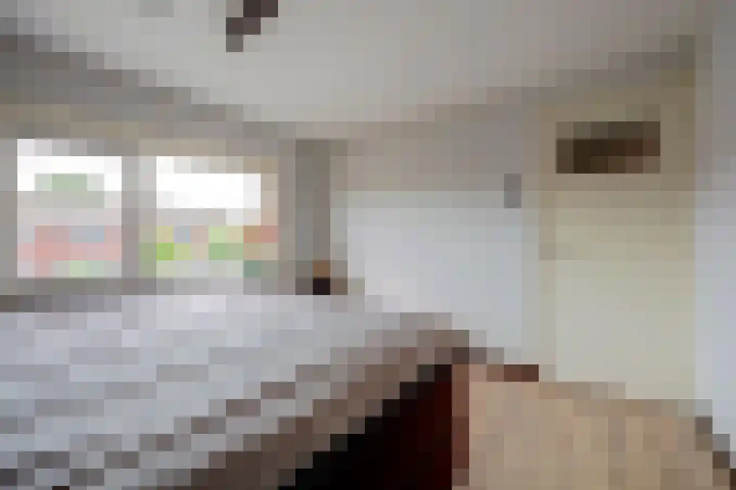Jan van Steenbergenstr 6 Gameren thumbnail 25