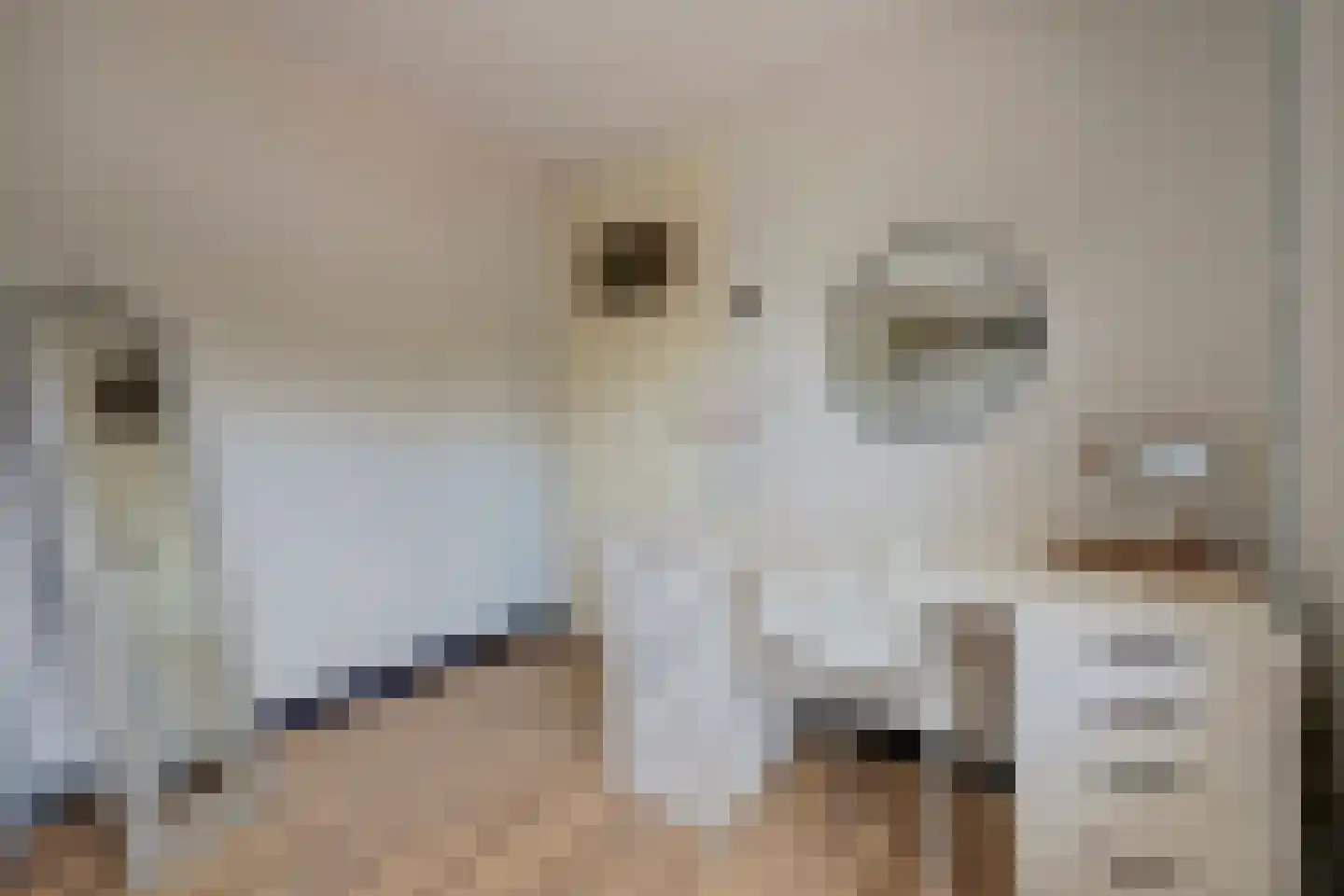 Jan van Steenbergenstr 6 Gameren thumbnail 27