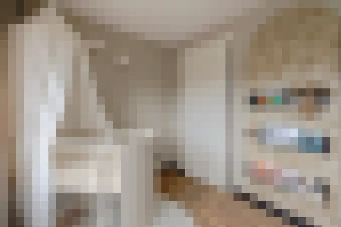 Jan van Steenbergenstr 6 Gameren thumbnail 30