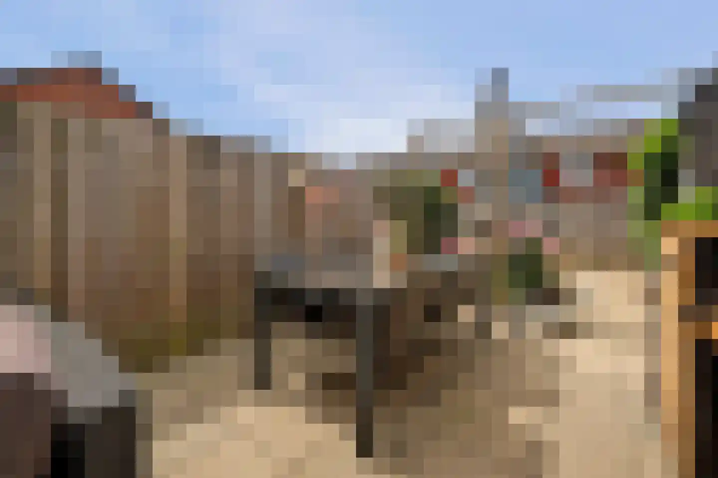 Jan van Steenbergenstr 6 Gameren thumbnail 33