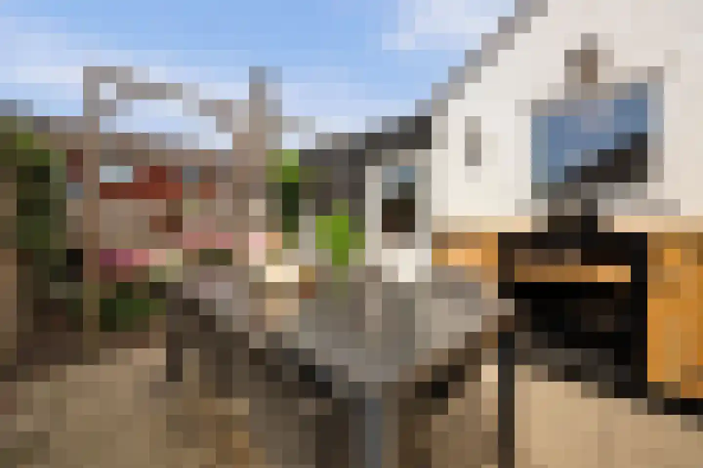 Jan van Steenbergenstr 6 Gameren thumbnail 34