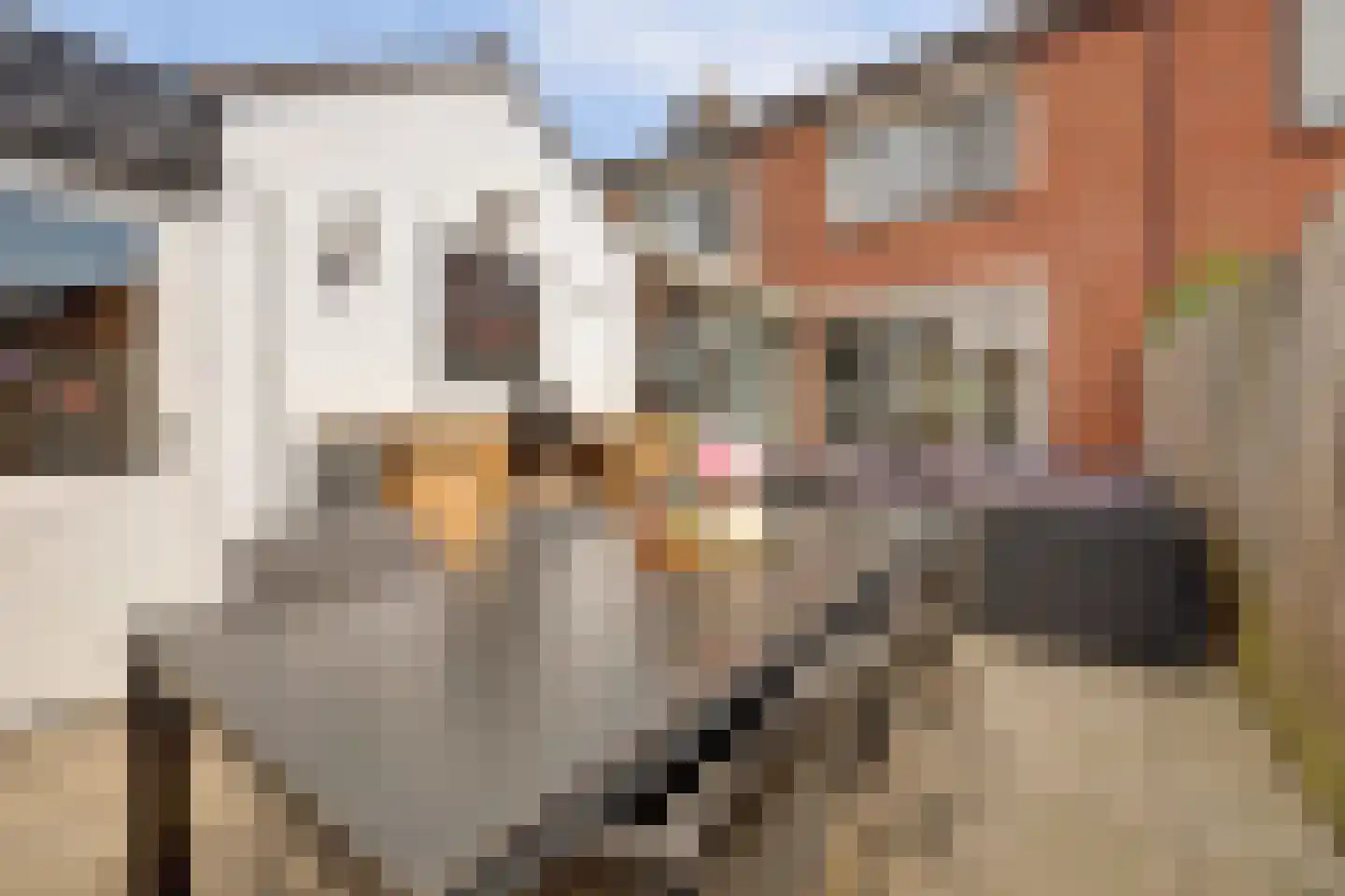 Jan van Steenbergenstr 6 Gameren thumbnail 35
