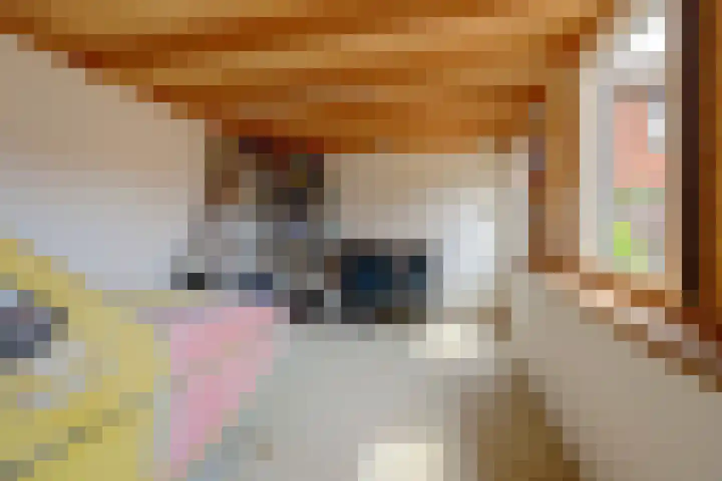 Jan van Steenbergenstr 6 Gameren thumbnail 38