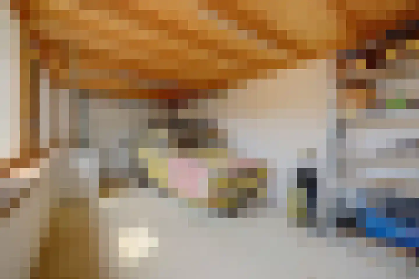 Jan van Steenbergenstr 6 Gameren thumbnail 39