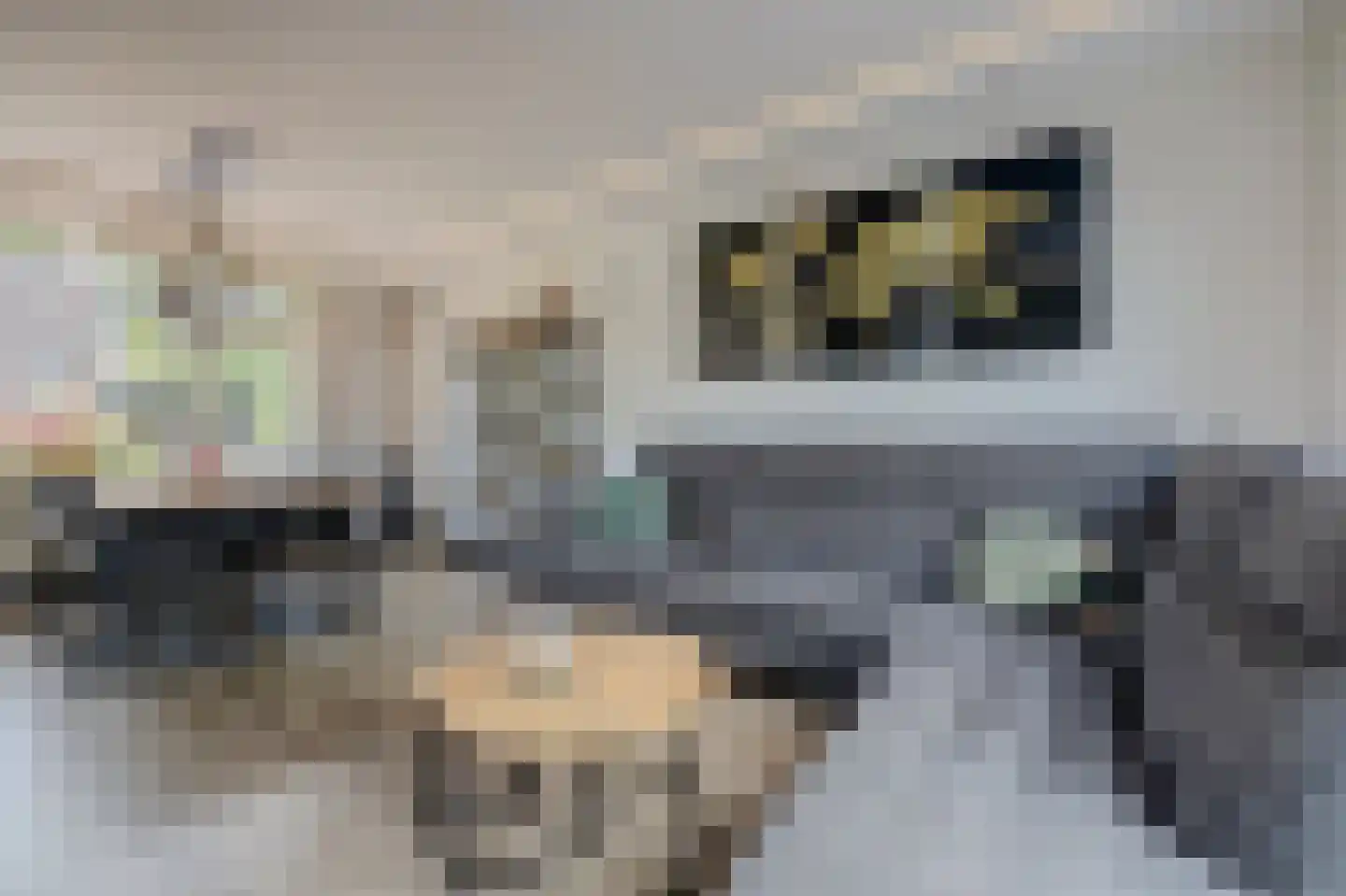 Jan van Steenbergenstr 6 Gameren thumbnail 4