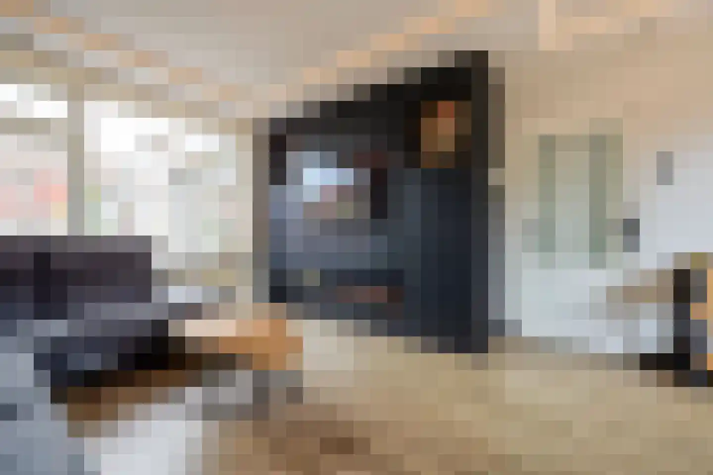 Jan van Steenbergenstr 6 Gameren thumbnail 5