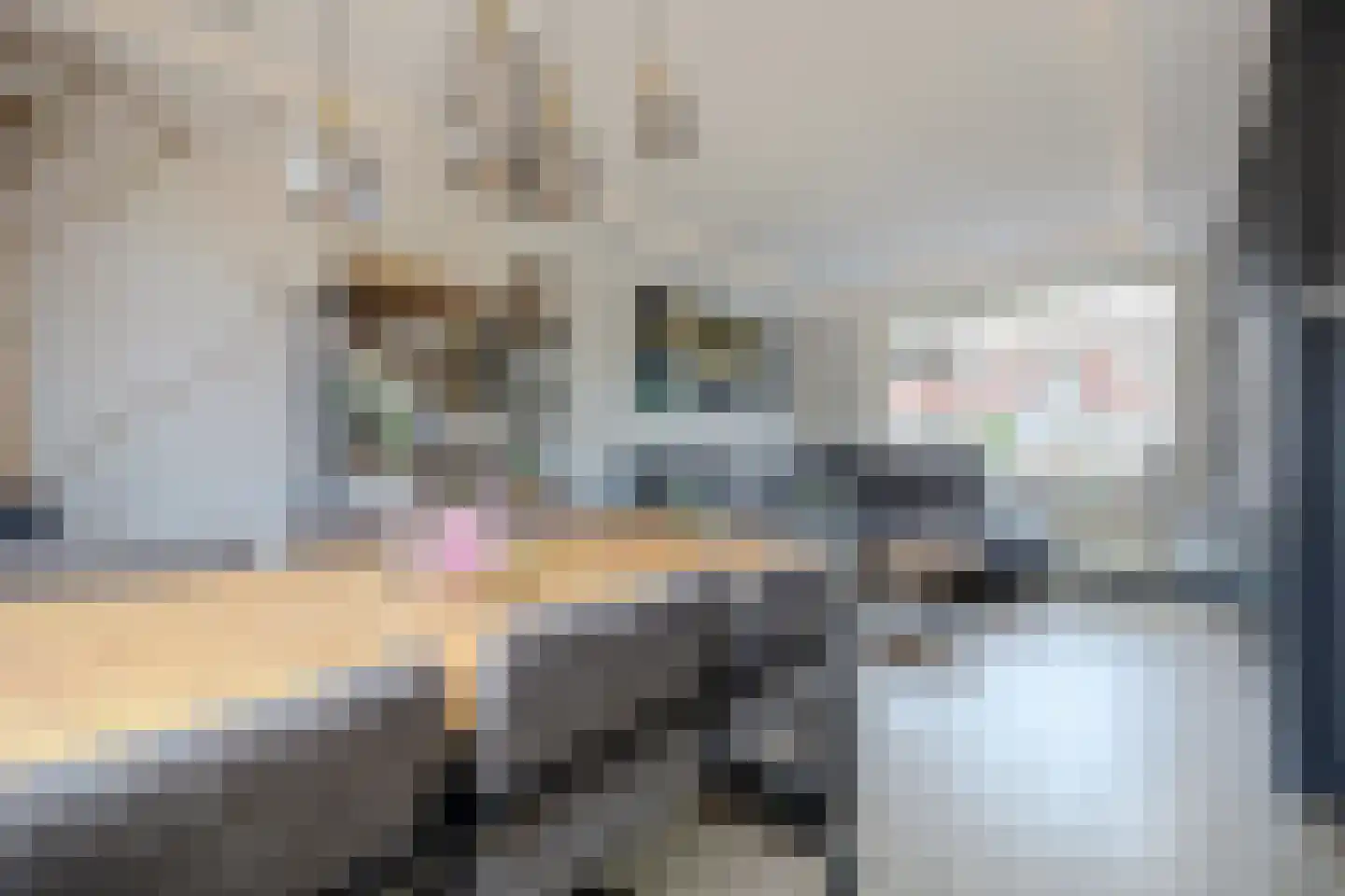Jan van Steenbergenstr 6 Gameren thumbnail 8