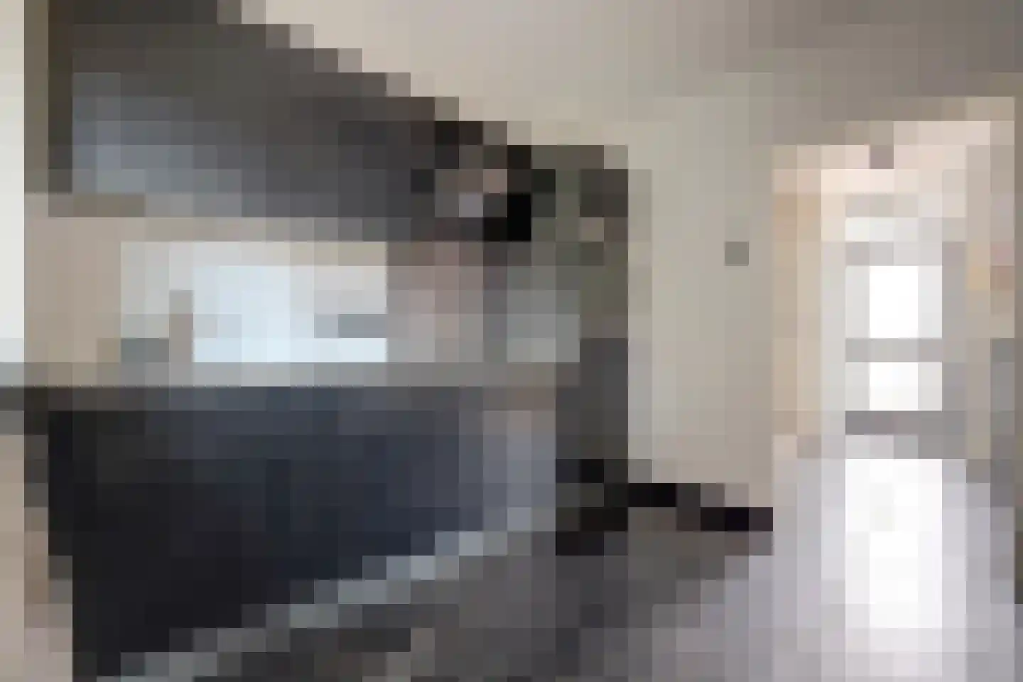 Jan van Steenbergenstr 6 Gameren thumbnail 9