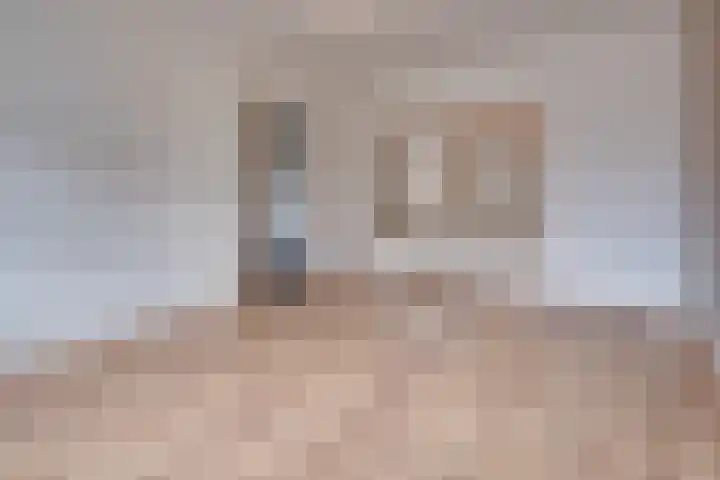 Jan van Steffeswertplein 7 Stevensweert thumbnail 11