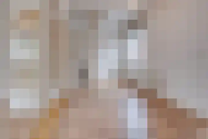 Jan van Steffeswertplein 7 Stevensweert thumbnail 12
