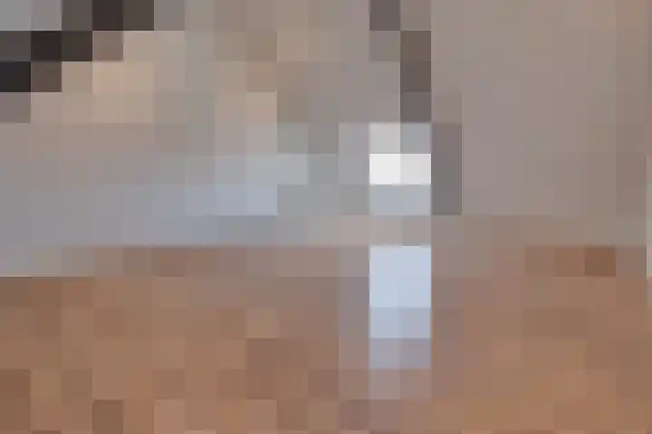 Jan van Steffeswertplein 7 Stevensweert thumbnail 31