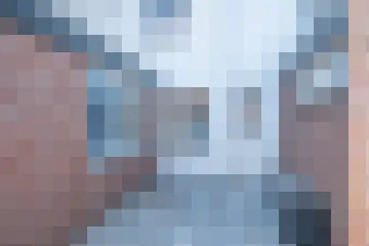 Jan van Steffeswertplein 7 Stevensweert thumbnail 35