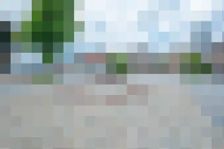 Jan van Steffeswertplein 7 Stevensweert thumbnail 40