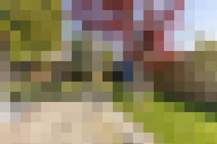 Jan van Stevensweertstraat 5 Sittard thumbnail 18