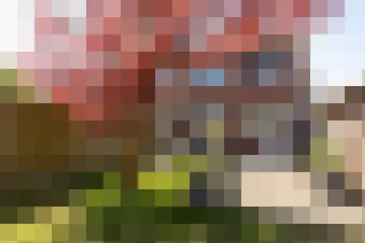 Jan van Stevensweertstraat 5 Sittard thumbnail 21