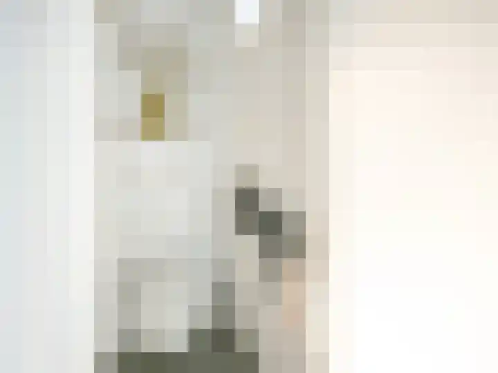 Jan van Valkenburgstraat 20 Born thumbnail 11