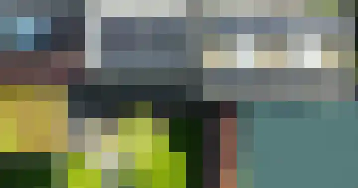 Jan van Valkenburgstraat 20 Born thumbnail 27