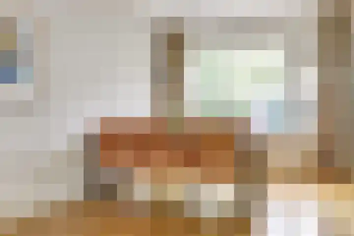 Jan van Vleutenstraat 9 Zaandijk thumbnail 13