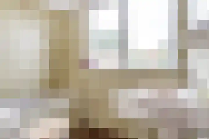 Jan van Vleutenstraat 9 Zaandijk thumbnail 22