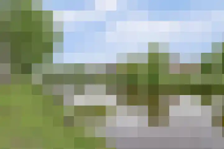 Jan van Vleutenstraat 9 Zaandijk thumbnail 39