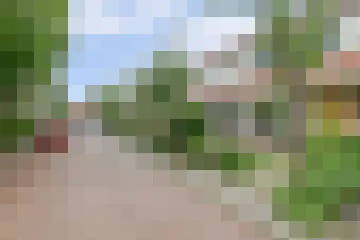 Jan van Vleutenstraat 9 Zaandijk thumbnail 4