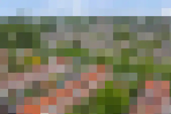 Jan van Vleutenstraat 9 Zaandijk thumbnail 42
