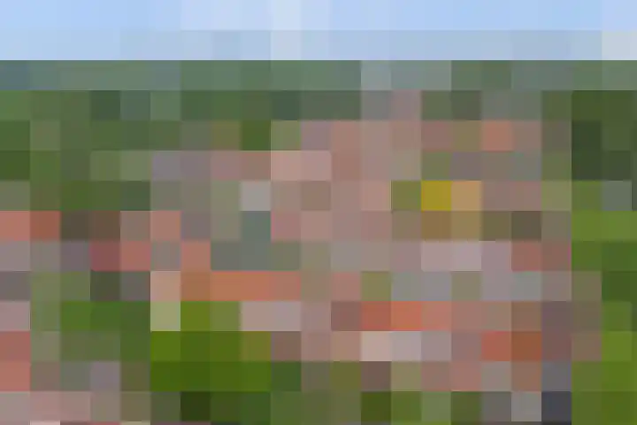 Jan van Vleutenstraat 9 Zaandijk thumbnail 43