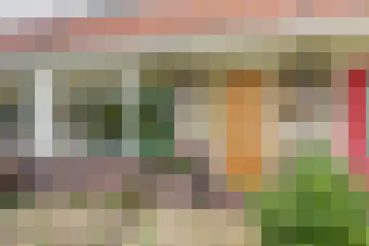 Jan van Vleutenstraat 9 Zaandijk thumbnail 5