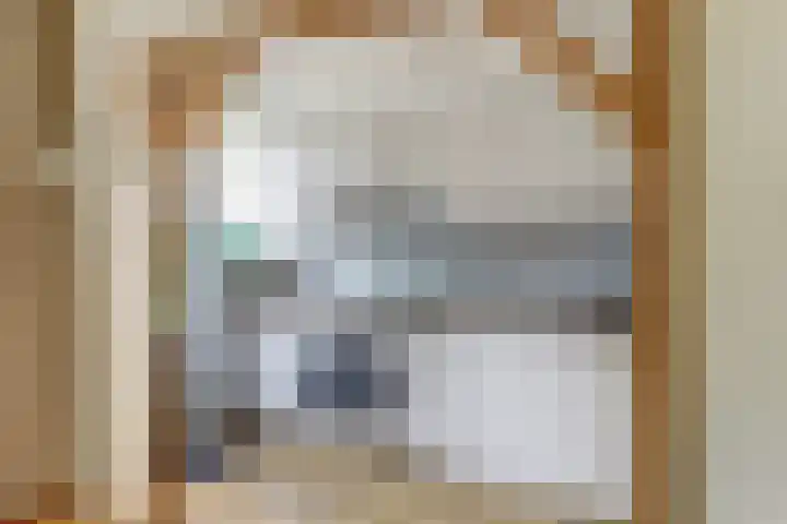 Jan van Vleutenstraat 9 Zaandijk thumbnail 9