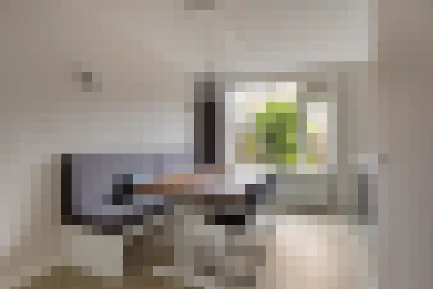 Jan van Vlissingenhof 18 Helmond thumbnail 11