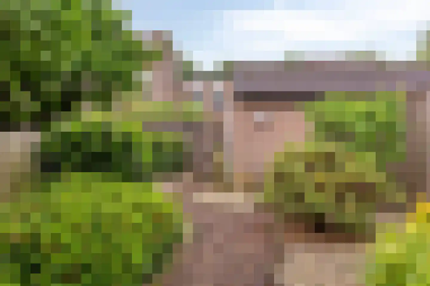 Jan van Vlissingenhof 18 Helmond thumbnail 34