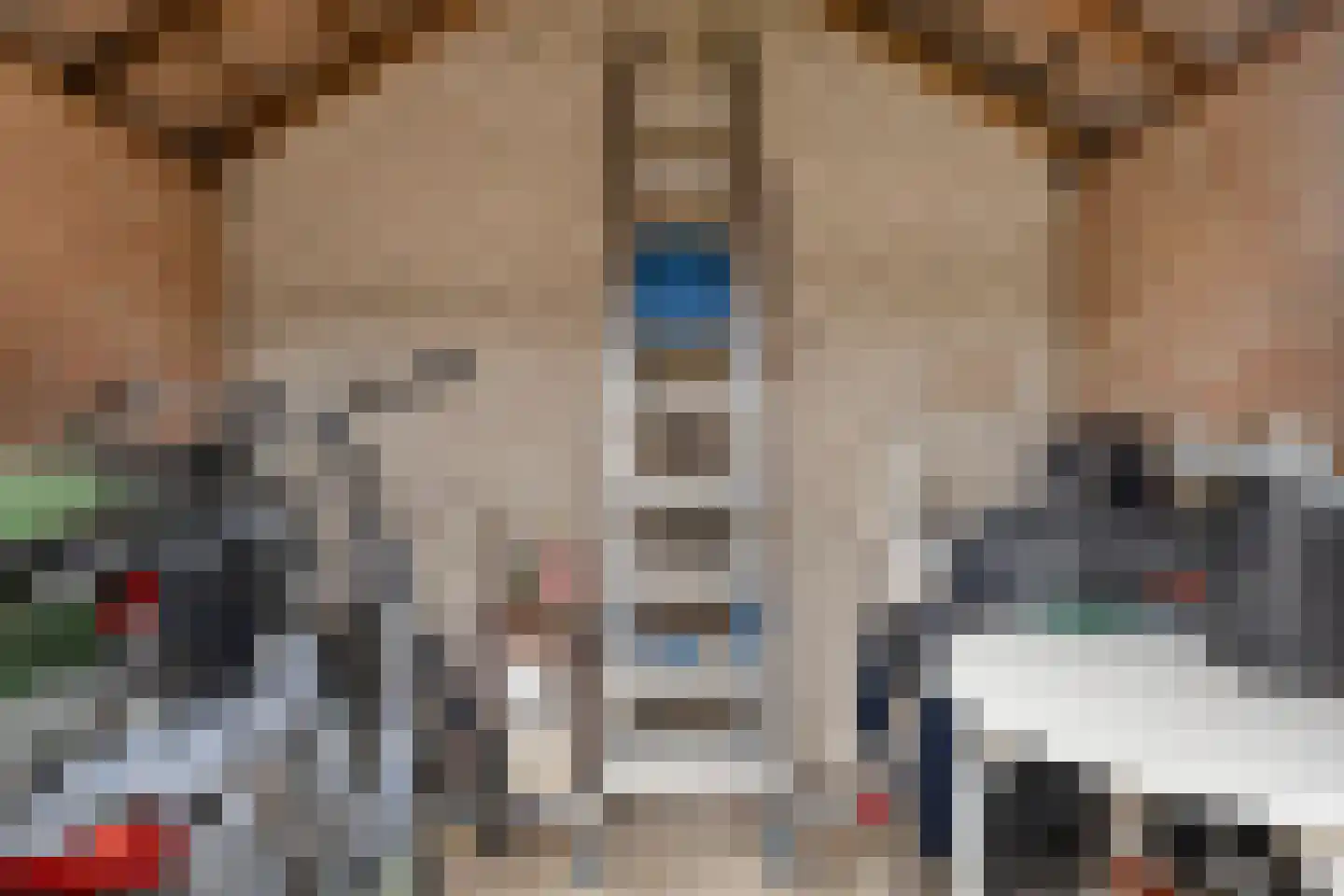 Jan van Vlissingenhof 18 Helmond thumbnail 36