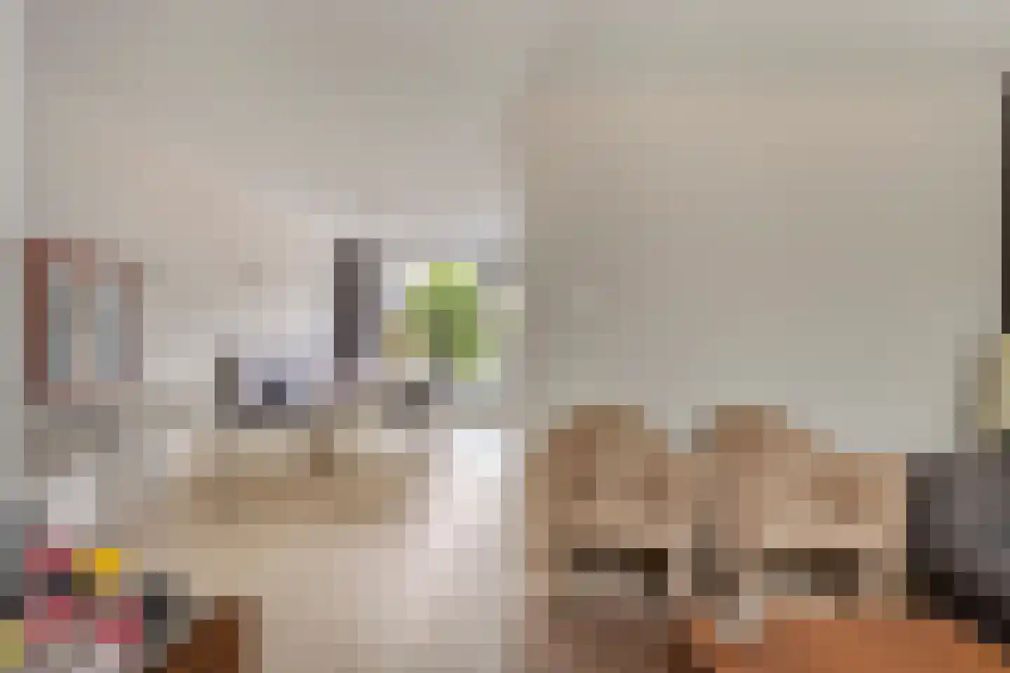 Jan van Vlissingenhof 18 Helmond thumbnail 9