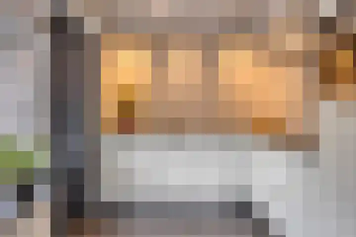 Jan van Vlissingenhof 22 Helmond thumbnail 12