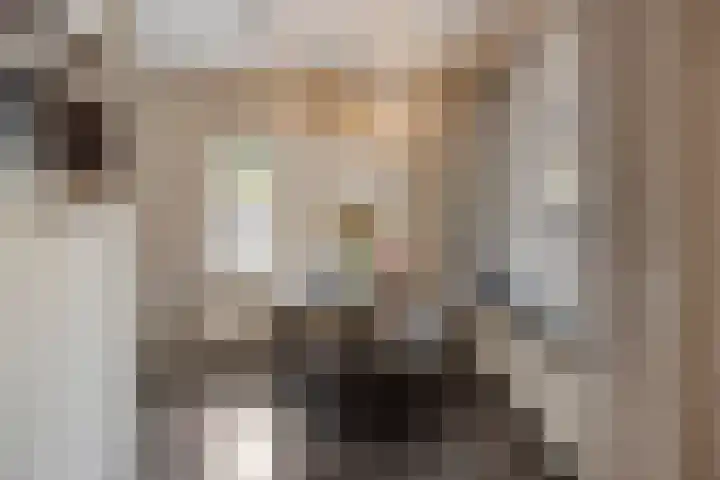 Jan van Vlissingenhof 22 Helmond thumbnail 15