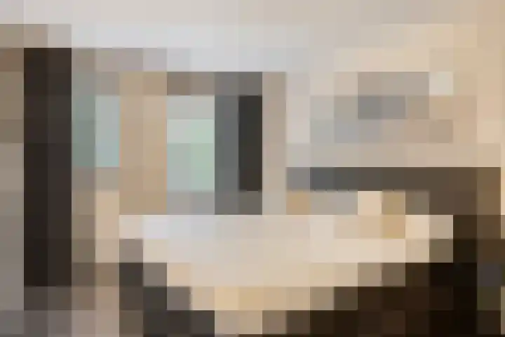 Jan van Vlissingenhof 22 Helmond thumbnail 19
