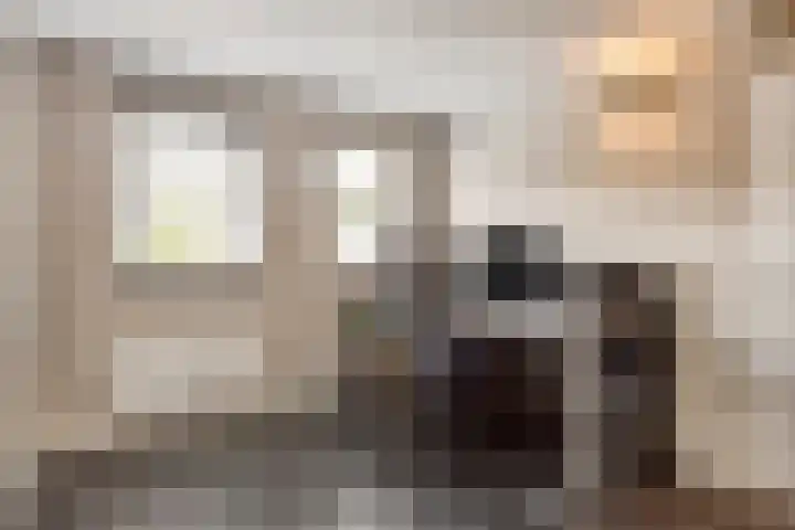 Jan van Vlissingenhof 22 Helmond thumbnail 21