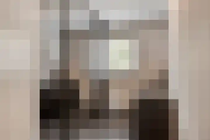 Jan van Vlissingenhof 22 Helmond thumbnail 23