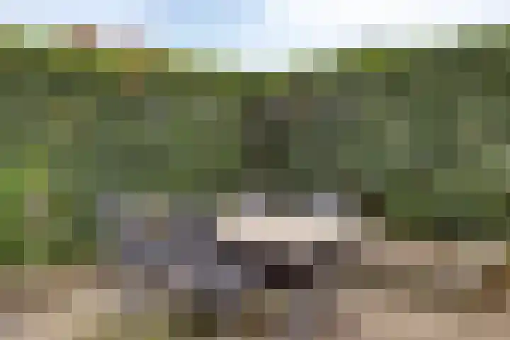 Jan van Vlissingenhof 22 Helmond thumbnail 37