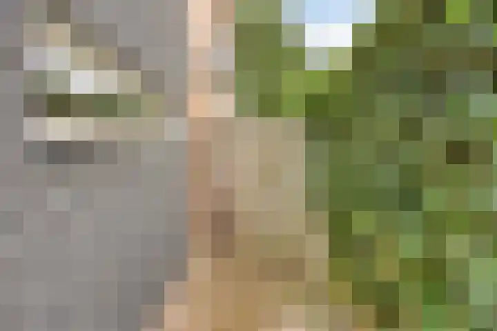 Jan van Vlissingenhof 22 Helmond thumbnail 38