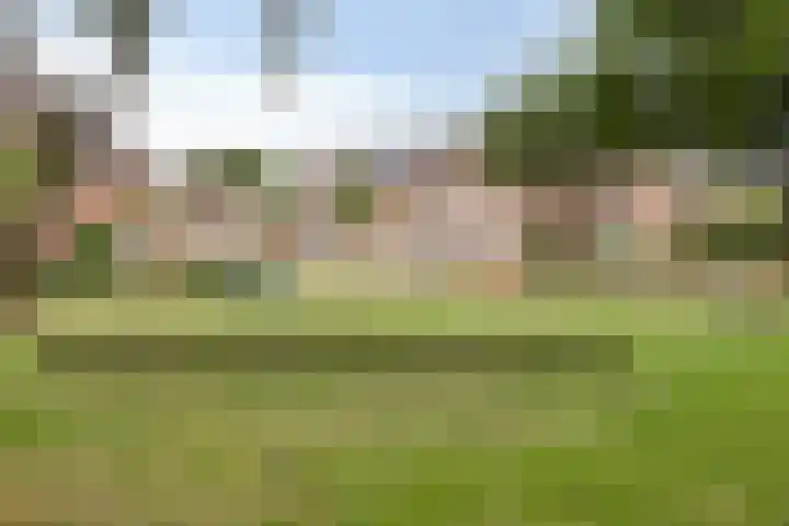 Jan van Vlissingenhof 22 Helmond thumbnail 42