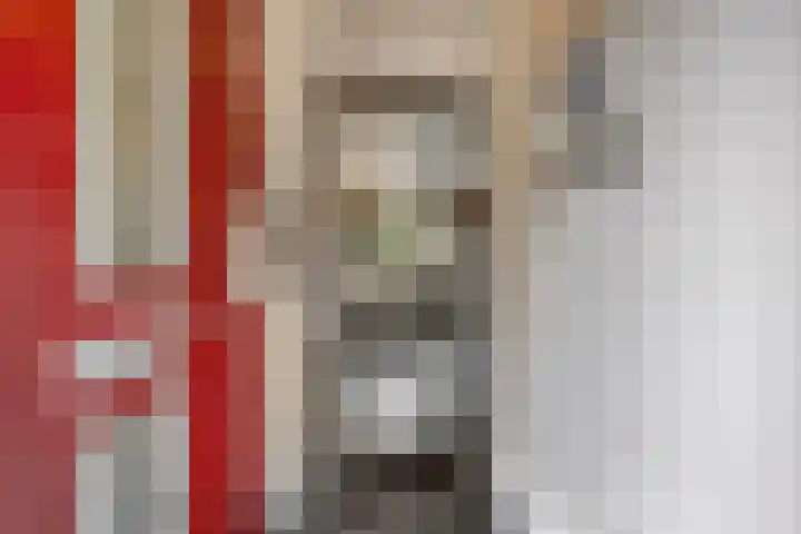 Jan van Vlissingenhof 22 Helmond thumbnail 5